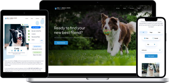 up next animal shelter image